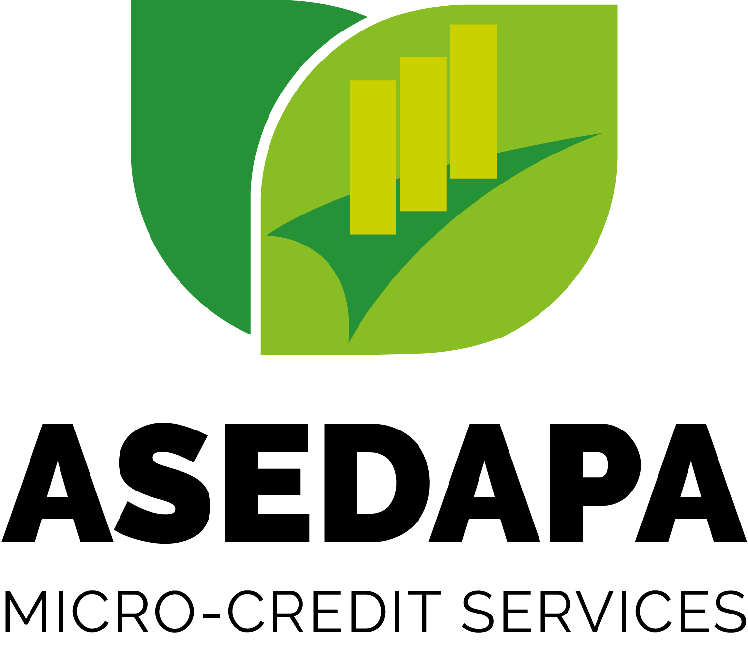 ASEDAPA logo